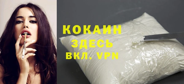 spice Богородицк