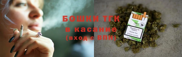 spice Богородицк