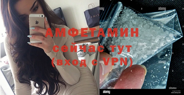 spice Богородицк